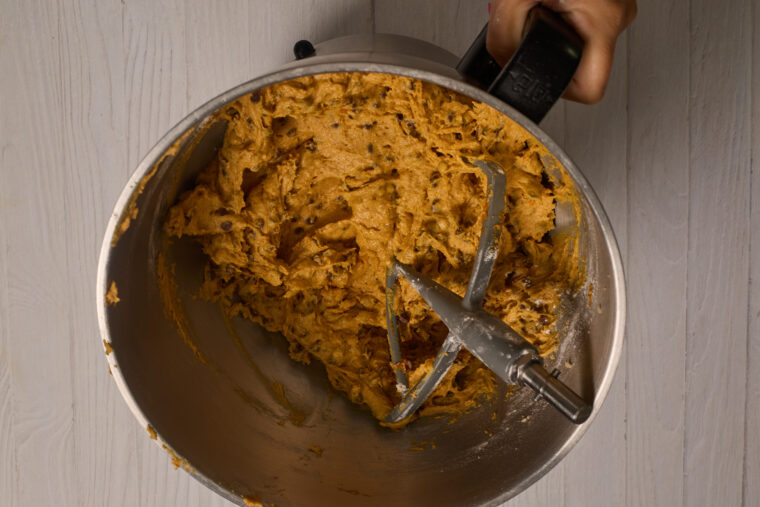 pumpkin chocolate chip cookie dough