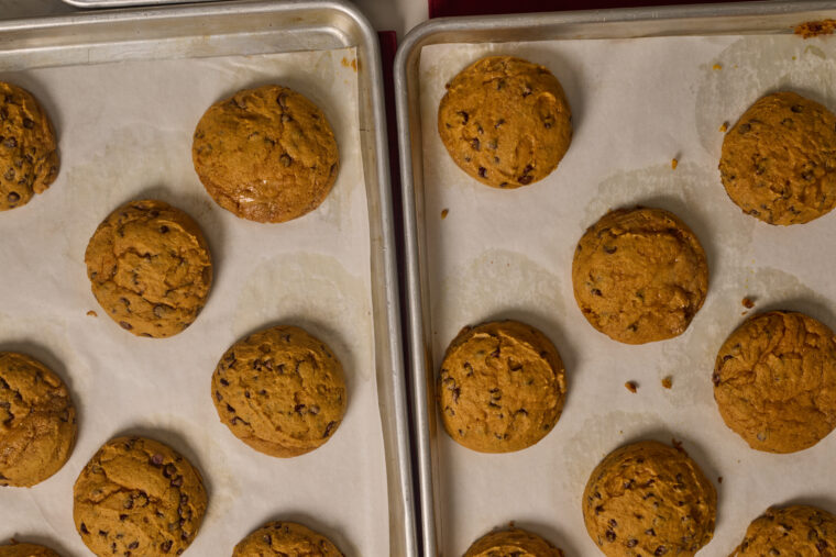 baked pumpkin chocolate chip cookies